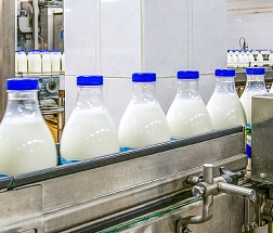 Эффективное планирование производственных расписаний для предприятий молочной и пищевой промышленности